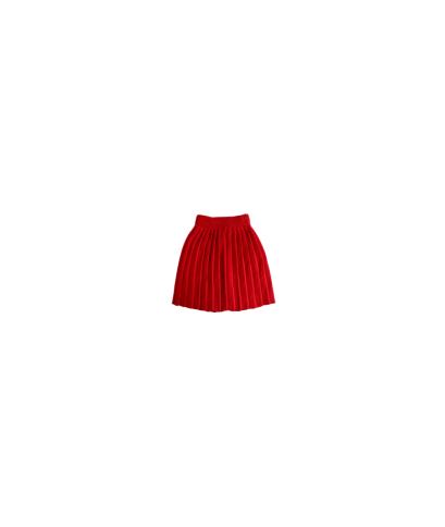 Wool Pleated Skirt §767